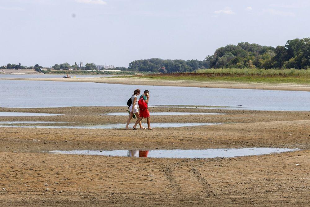Dunav ponegde kao potok: Dramatične fotografije iz Srbije i regiona 15 dunav, nizak vodostaj dunava, dunav kod apatina