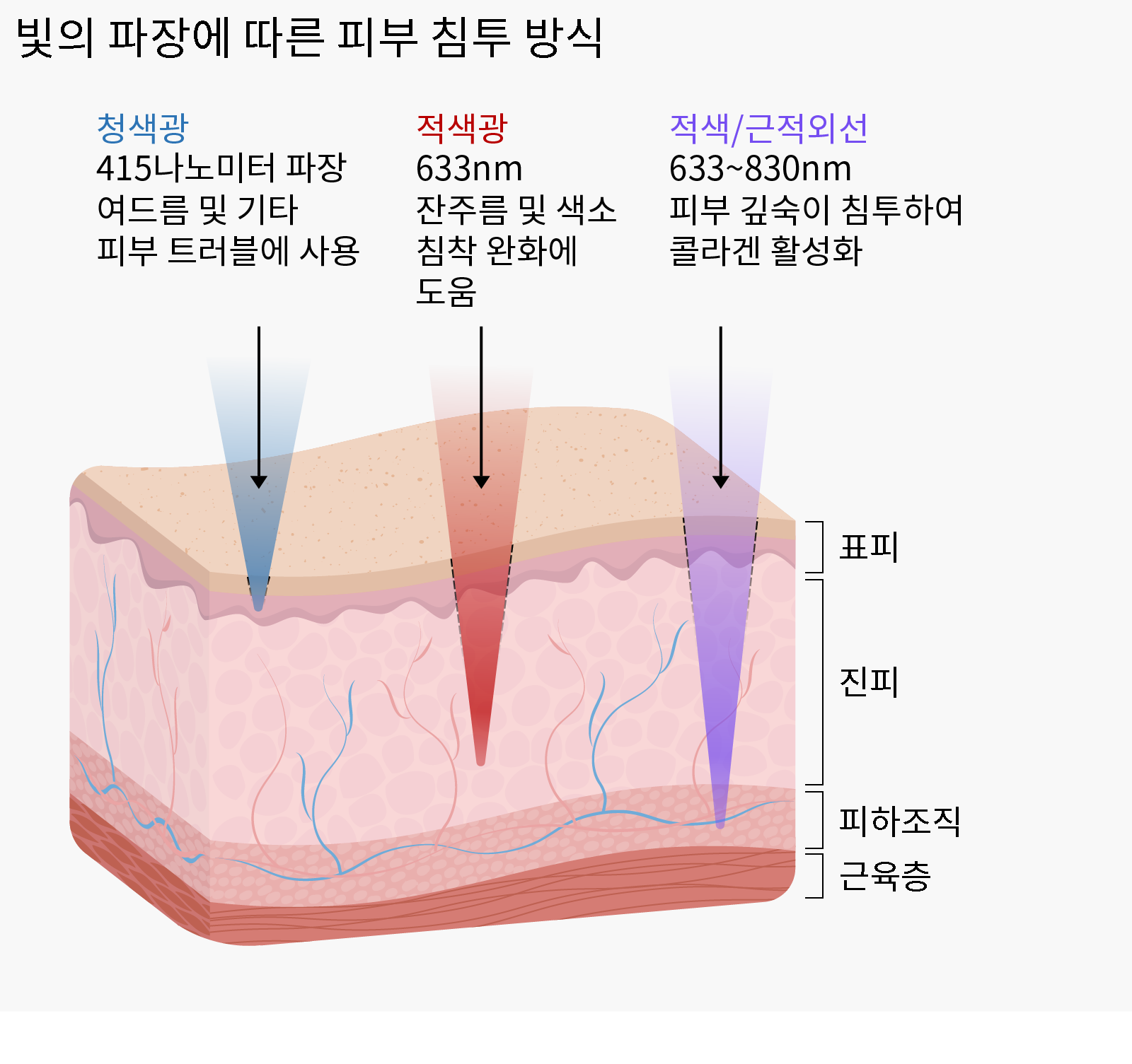 서로 다른 파장의 빛이 피부를 어떻게 투과하는지를 보여주는 일러스트 그래픽. 415나노미터의 블루라이트는 표피로 불리는 피부의 표면층까지 도달하며, 여드름과 기타 일부 피부 질환에 사용되는 것으로 설명돼 있다. 633나노미터의 적색광은 진피로 알려진 보다 깊은 층까지 침투하며, 잔주름과 색소 침착을 줄일 가능성이 있는 것으로 표시돼 있다. 633~830나노미터 사이의 적색광 및 근적외선은 피부 아래의 피하층까지 도달해, 더 깊은 조직에 작용하고 콜라겐 생성을 촉진할 잠재력이 있는 것으로 설명돼 있다.
