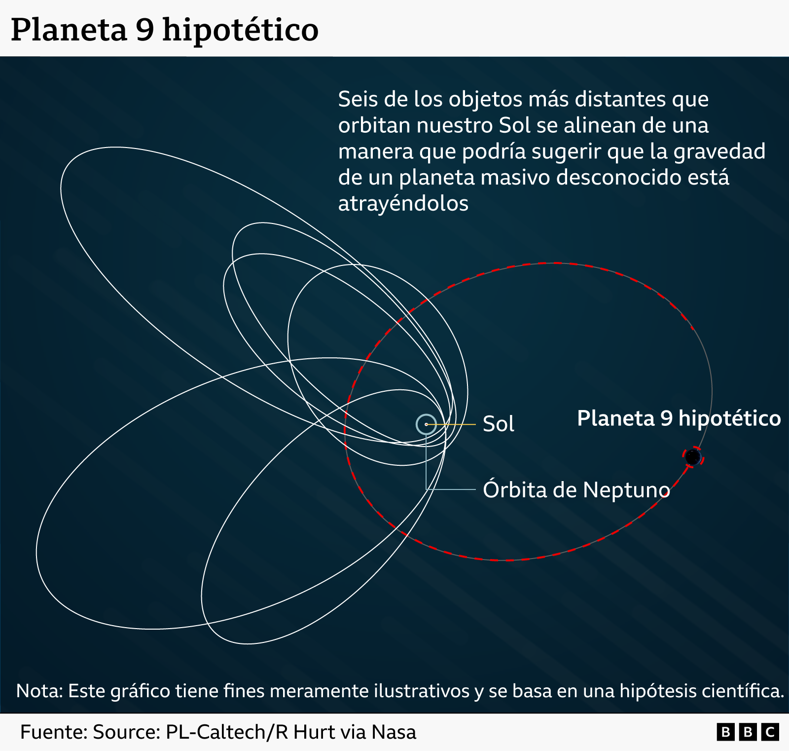 Un gráfico muestra un punto en el centro que representa al Sol, con la órbita circular de Neptuno a su alrededor. Seis órbitas elípticas mucho más grandes se muestran en blanco, acercándose a Neptuno en un extremo y extendiéndose muy lejos de él en el otro. La órbita de un hipotético Planeta Nueve se muestra como una línea roja punteada, que cruza las trayectorias de las seis órbitas blancas, pero manteniéndose relativamente lejos de Neptuno.