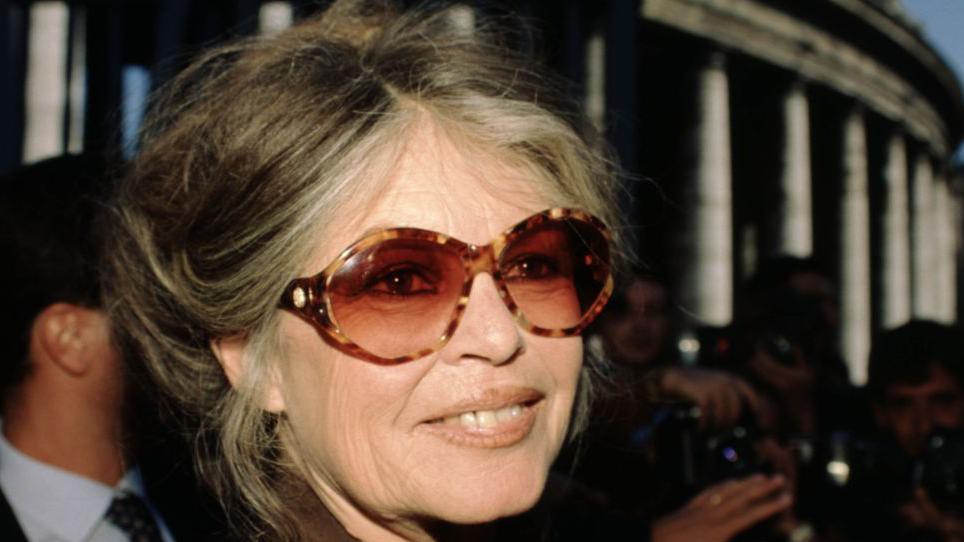 Actress Brigitte Bardot dies aged 91, French media reports