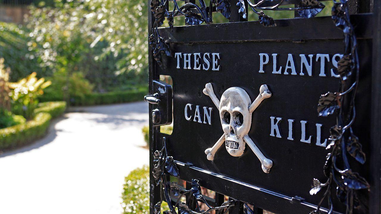 Detalle de la puerta de hierro del jardín, con una calavera y la advertencia: "Estas plantas pueden matar".