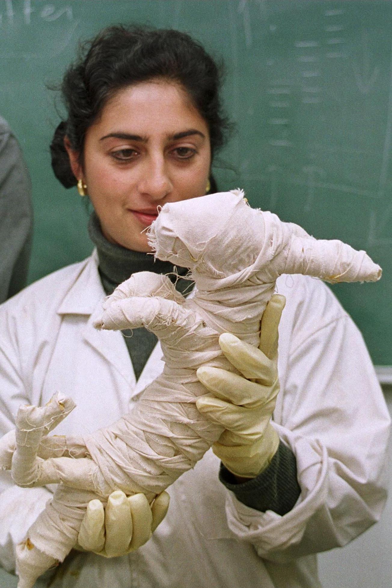 La profesora Salima Ikram, de la Universidad de El Cairo, vestida con una bata de laboratorio blanca y guantes, sobre un jersey de cuello alto verde y pendientes de oro, sostiene un conejo momificado, con una pizarra al fondo.