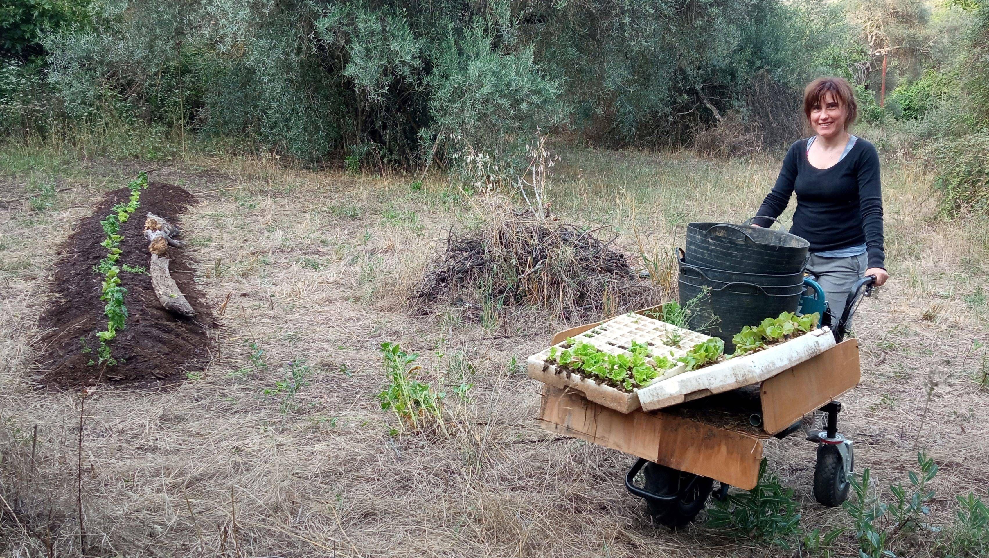 Ainara llevando una carretilla con plantas en su huerto.