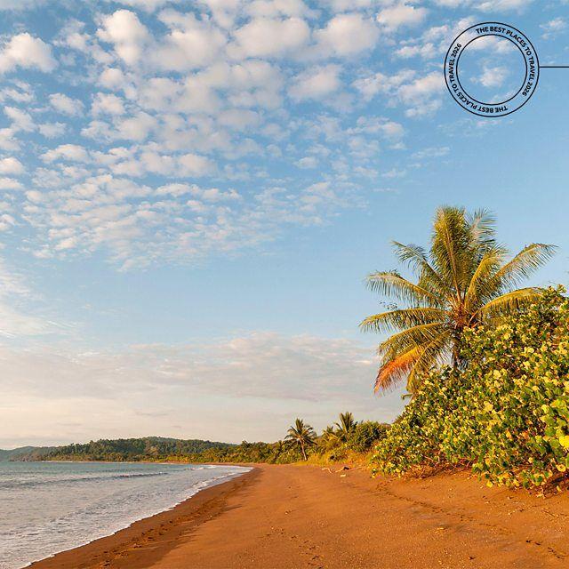 Praia deserta com palmeiras na Costa Rica