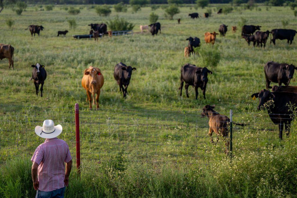 Texas