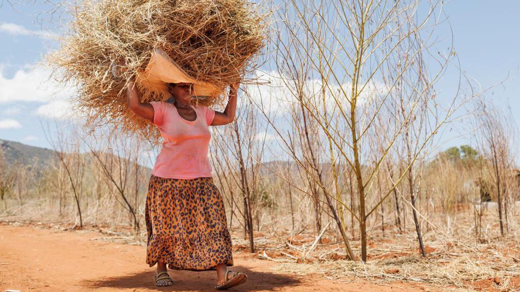 Mulher carrega na cabeça um volume de materiais usado nas plantações