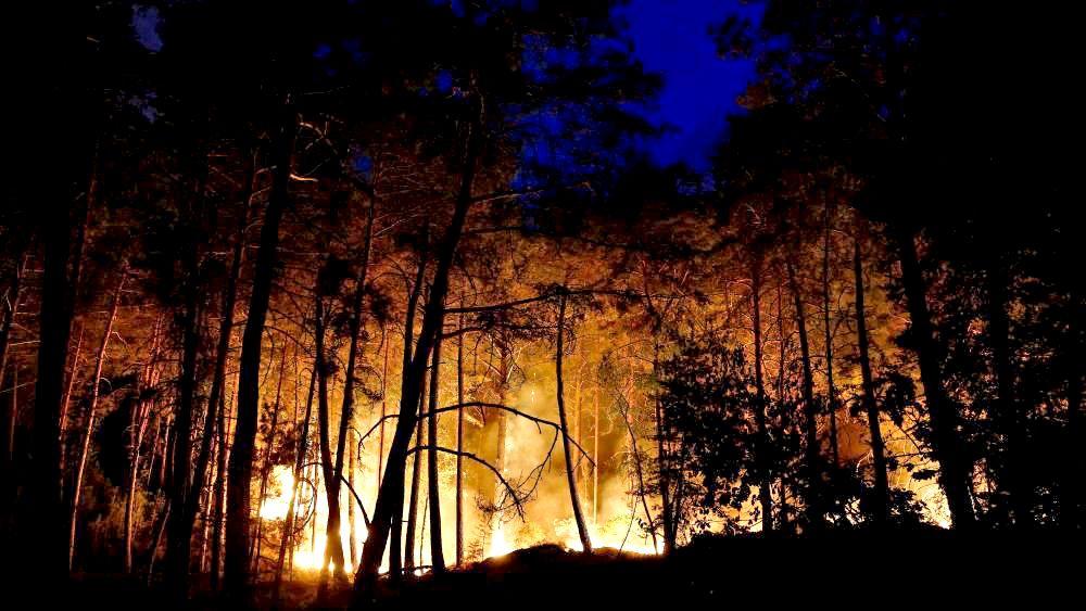 Planes sent to tackle wildfires of exceptional scale near Paris