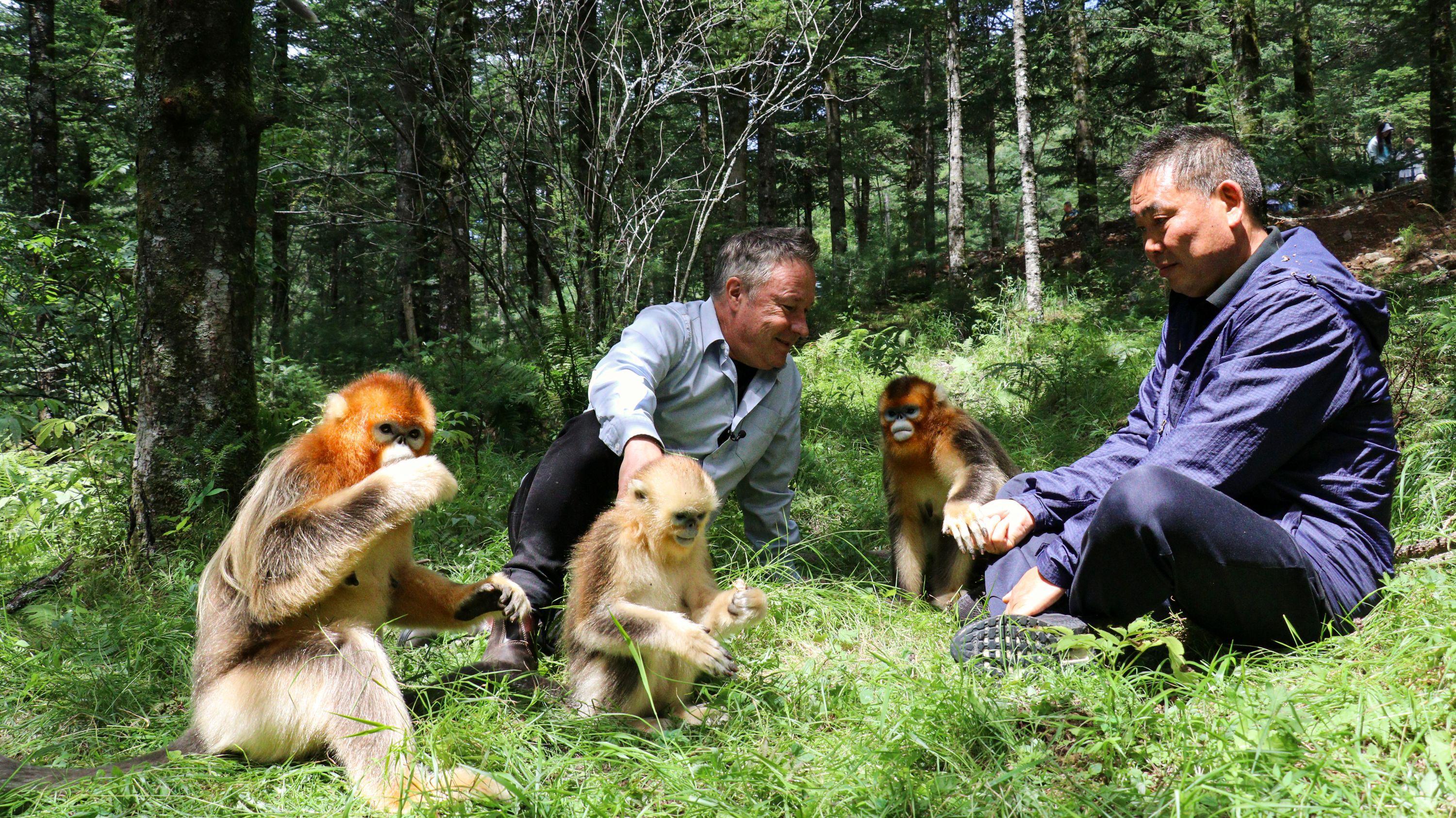 Stephen e o professor Yang sentados na floresta, cercados por macacos e árvores
