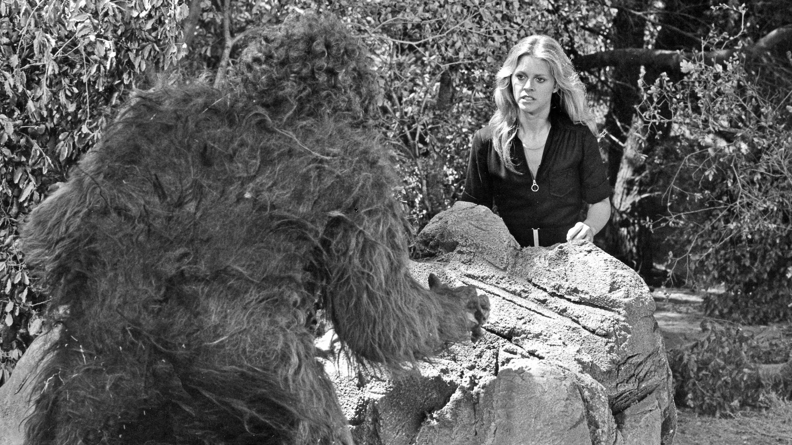 Crno-bela fotografija iz serije „Bionska žena“ „Povratak Bigfuta, drugi deo“ - druga sezona - 22.09.1976. Džejmi (Lindzi Vagner) je prikazana kako stoji iza velike stene koja je razdvaja od Bigfuta. Ima dugu plavu kosu, plave oči i zuri u Bigfuta. U prvom planu se vide leđa velikog dlakavog majmunolikog stvorenja Bigfuta.