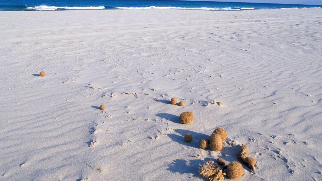 Plaža u Italiji