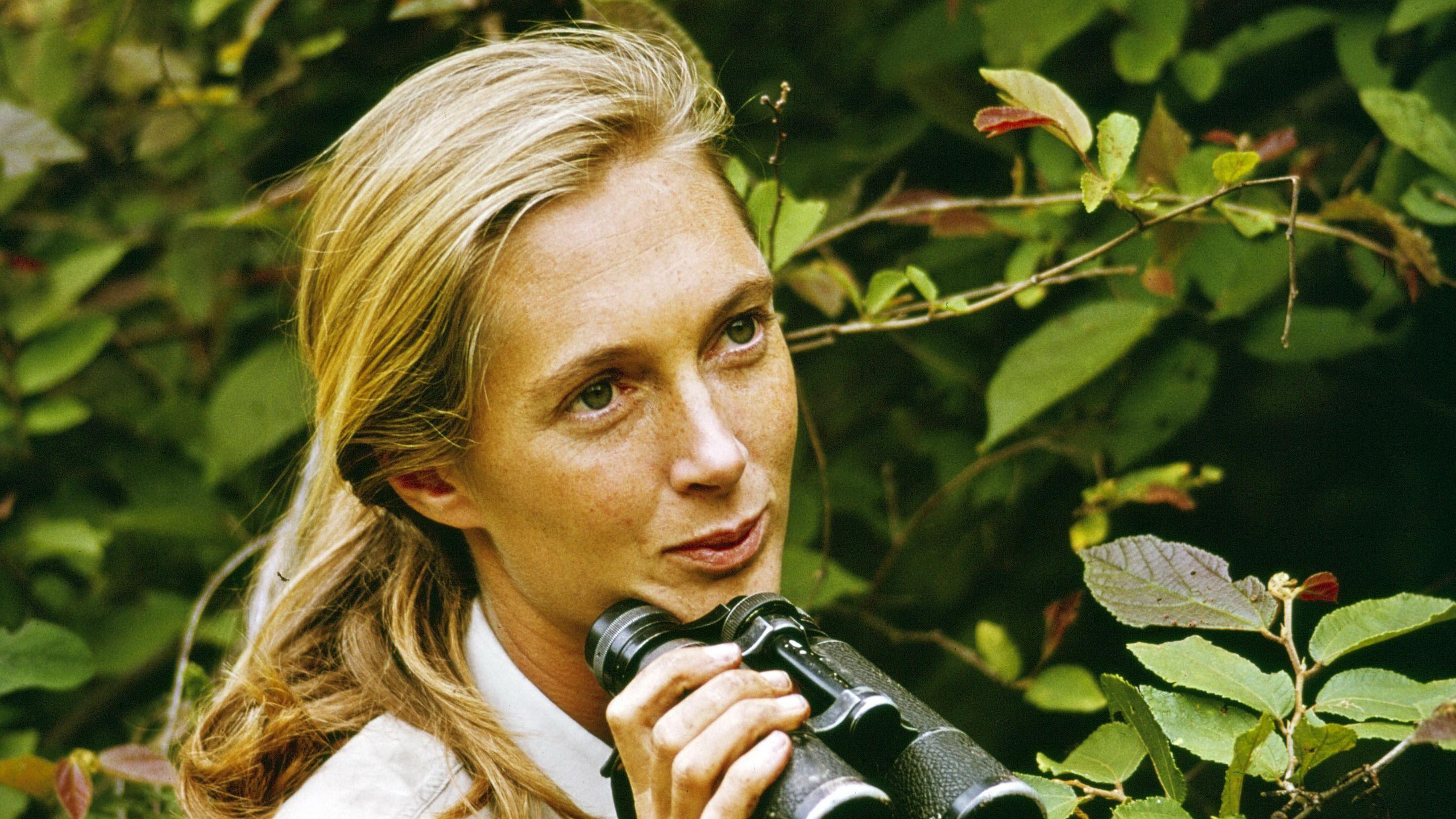 Jane Goodall