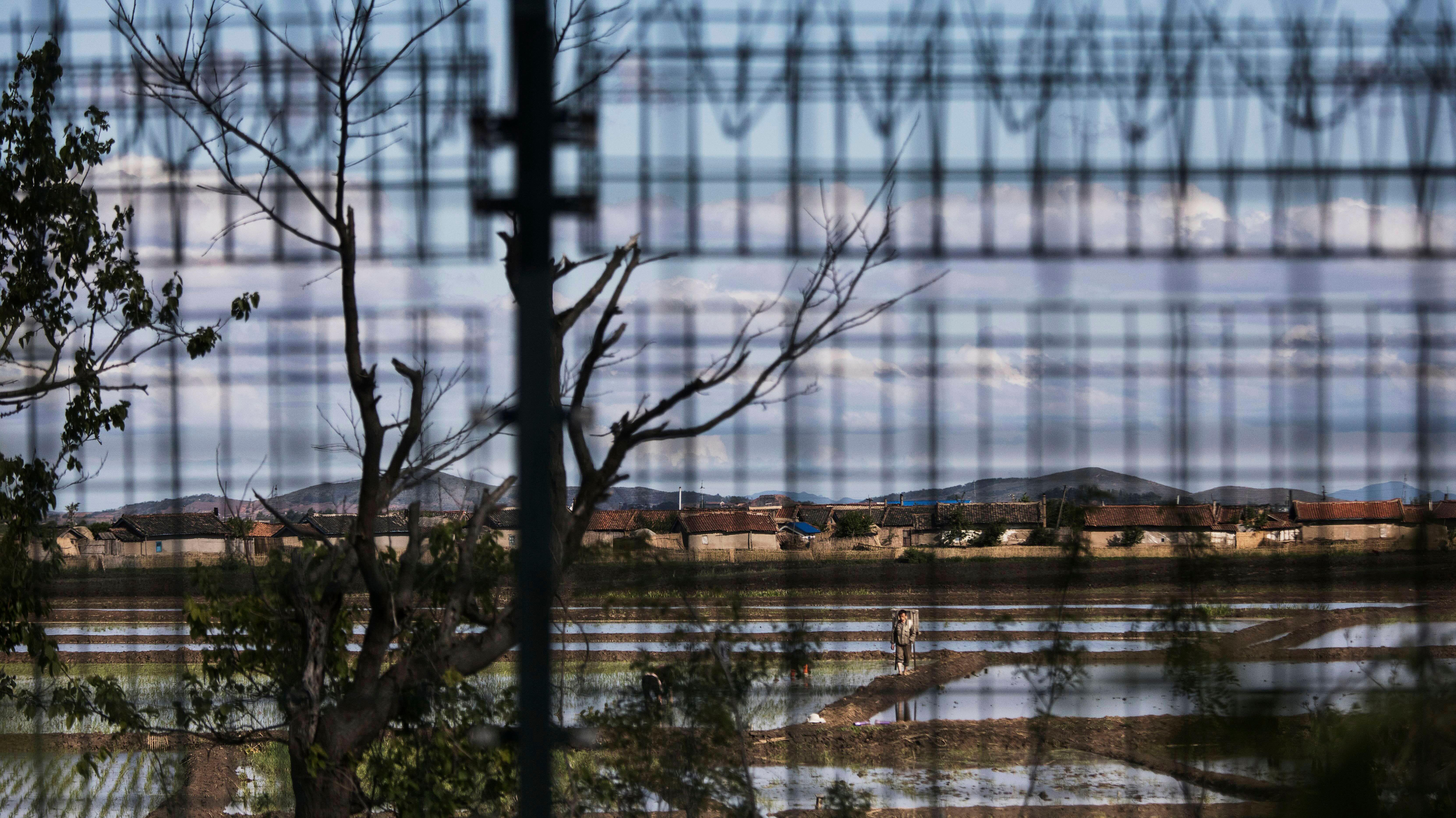 2017 年 5 月 23 日，在中國丹東，可透過帶有鐵絲網的圍欄，看見一名朝鮮農民；丹東是位於中國遼寧省的邊境城市，與朝鮮新義州隔江相望。