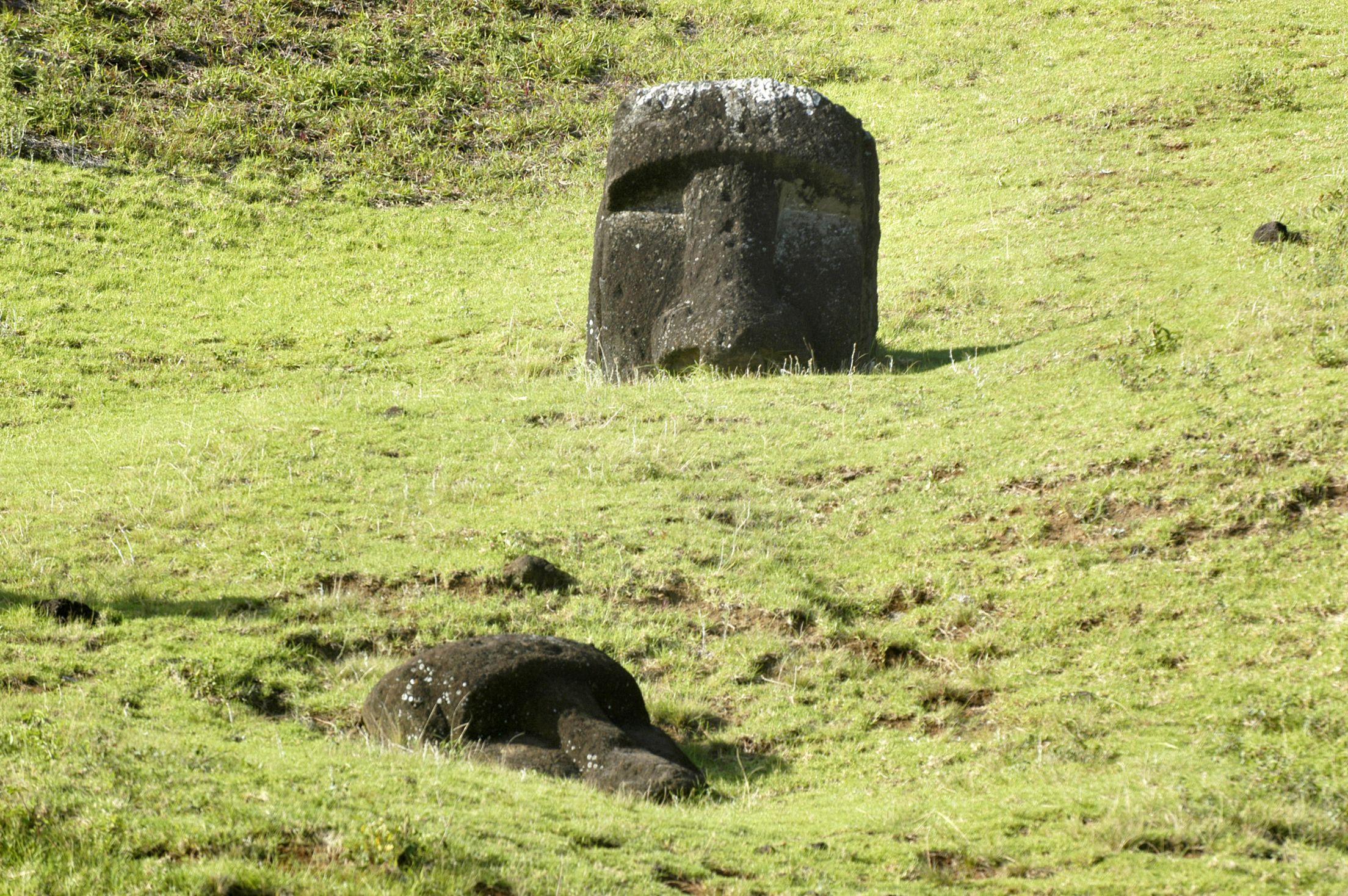 Moais parcialmente enterrados na Ilha de Páscoa