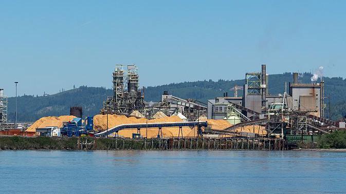 Multiple people killed and others missing after chemical explosion at US paper mill