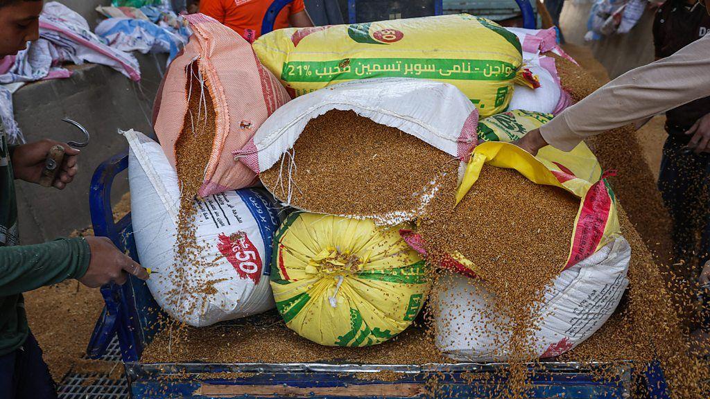رقائق النخالة مصنوعة من حبوب القمح الكاملة، بما في ذلك الطبقة الخارجية - النخالة