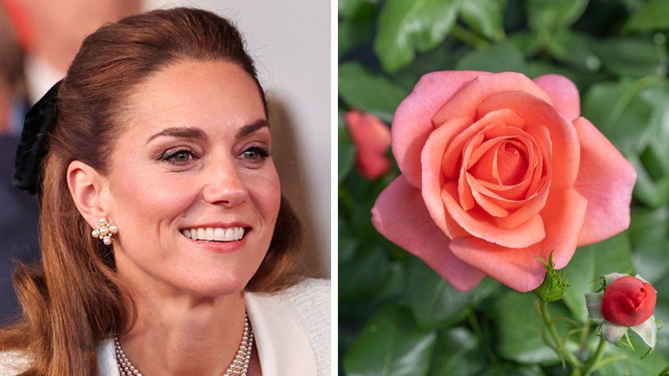 Rose named after Princess of Wales to celebrate power of nature