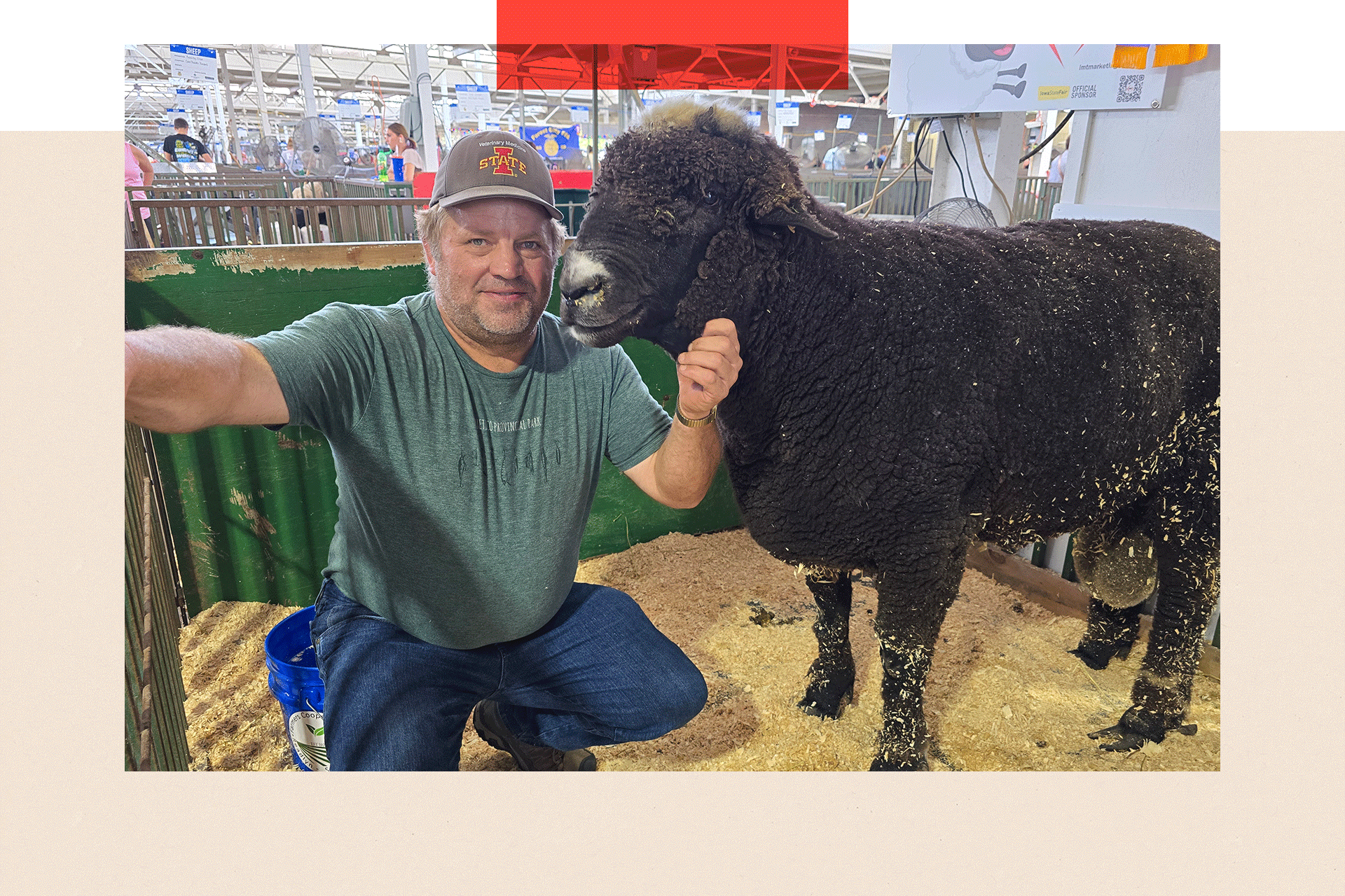 Participante da Feira Estadual de Iowa, ao lado de um grande carneiro marrom.