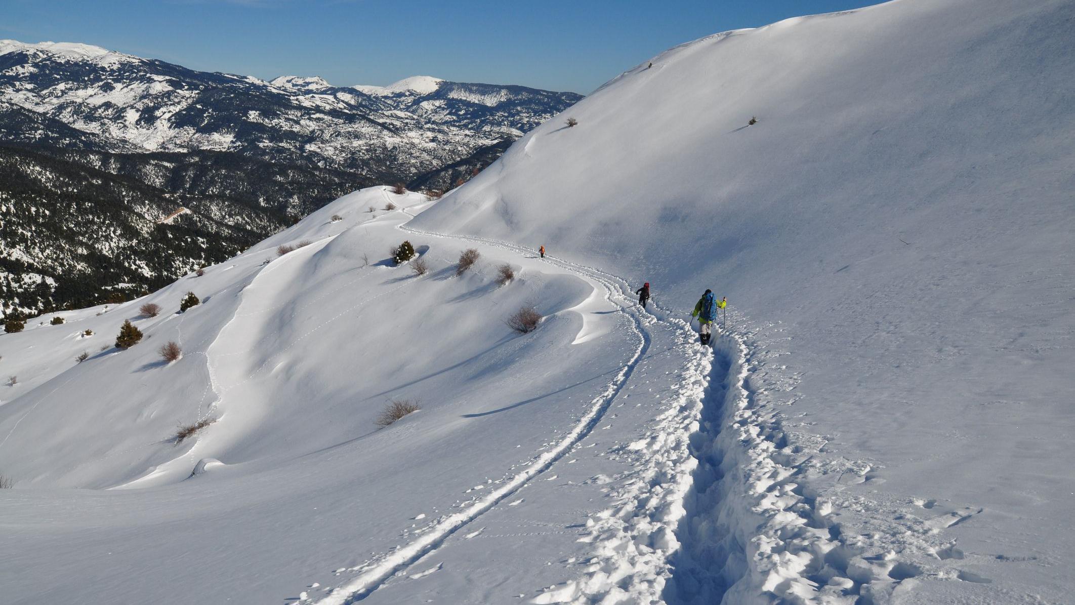 Four hikers found dead after avalanche in central Greece