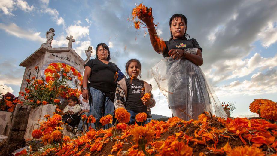 Una mujer lanza flores de cempasúchil a la tumba de un familiar antes de las celebraciones del Día de Muertos en Cuanajo, México.