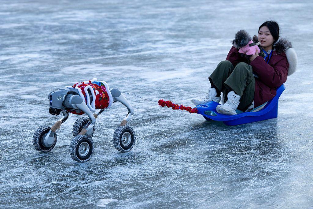女生乘坐由機器人拉動的雪橇