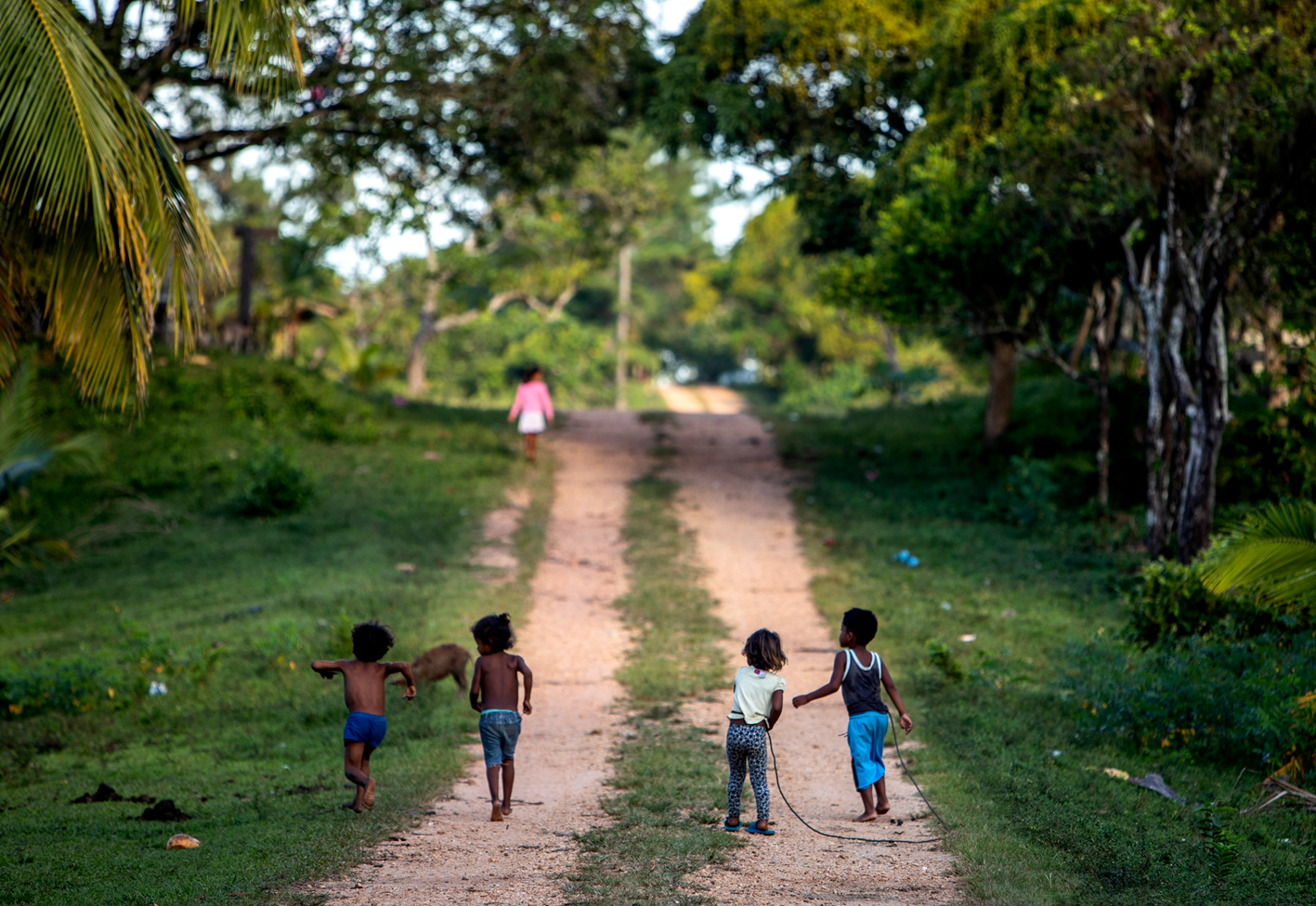 Cuatro niños juegan en un camino de tierra rodeado de vegetación y árboles