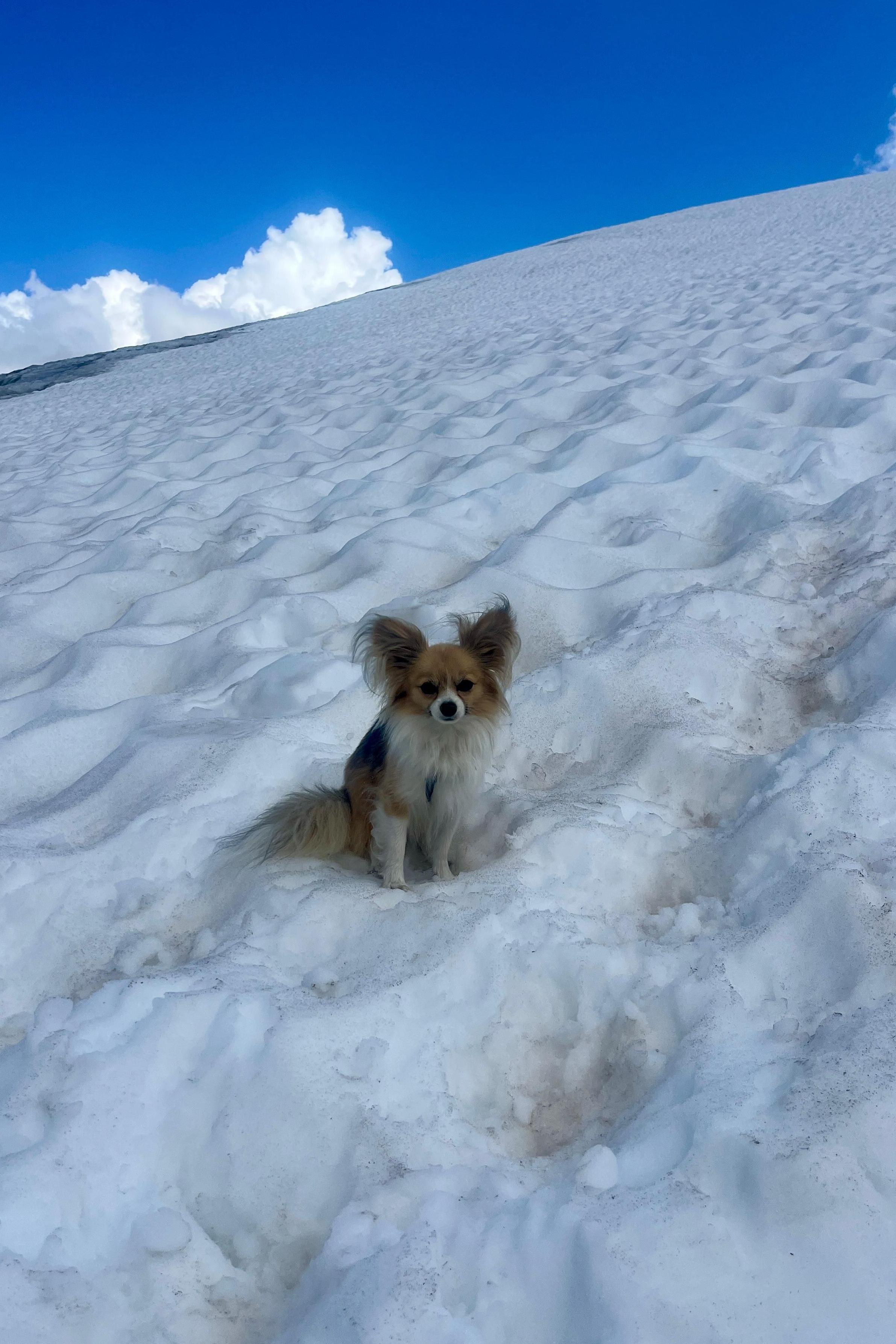 Filip en mitad de la nieve esperando a los rescatistas.