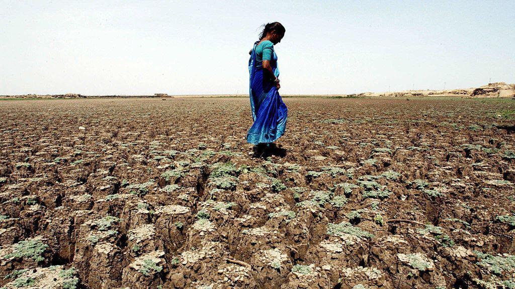 Farming worries after India records driest June in over a decade