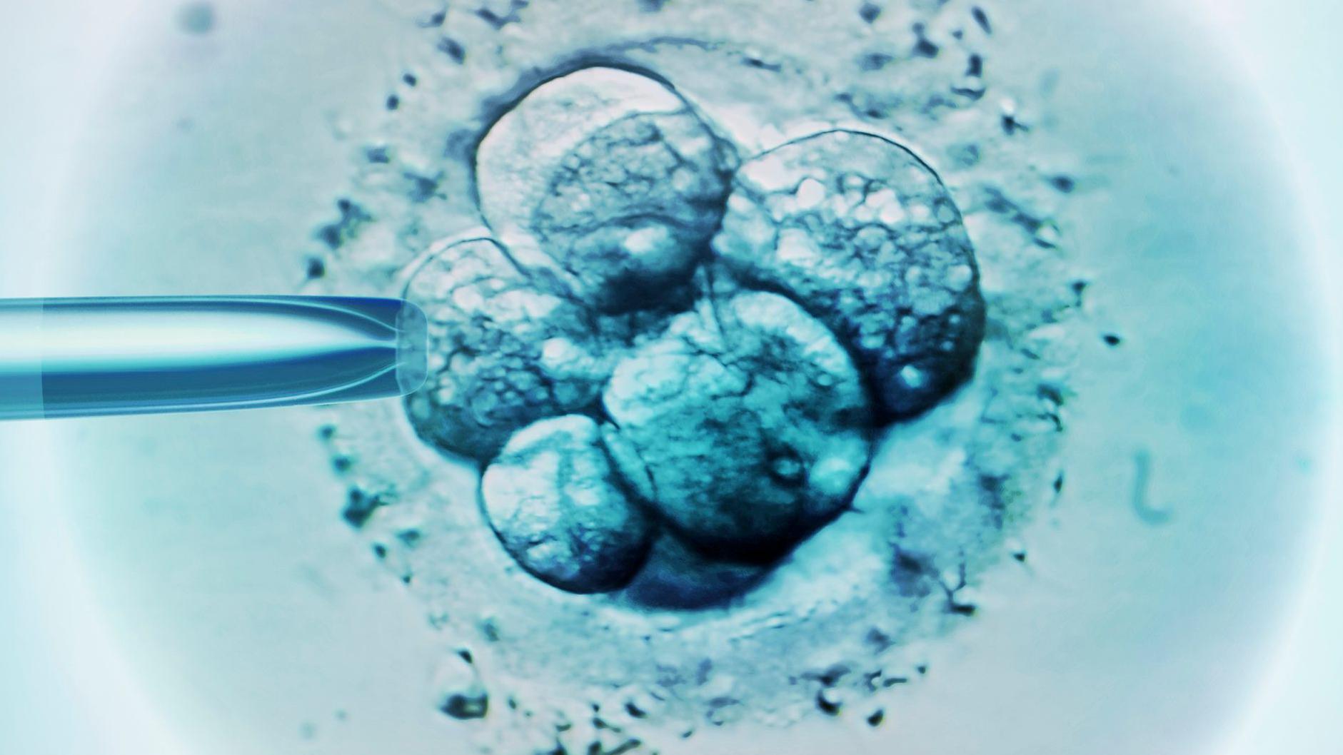 Like a sci-fi movie: US baby born from 30-year-old frozen embryo breaks record