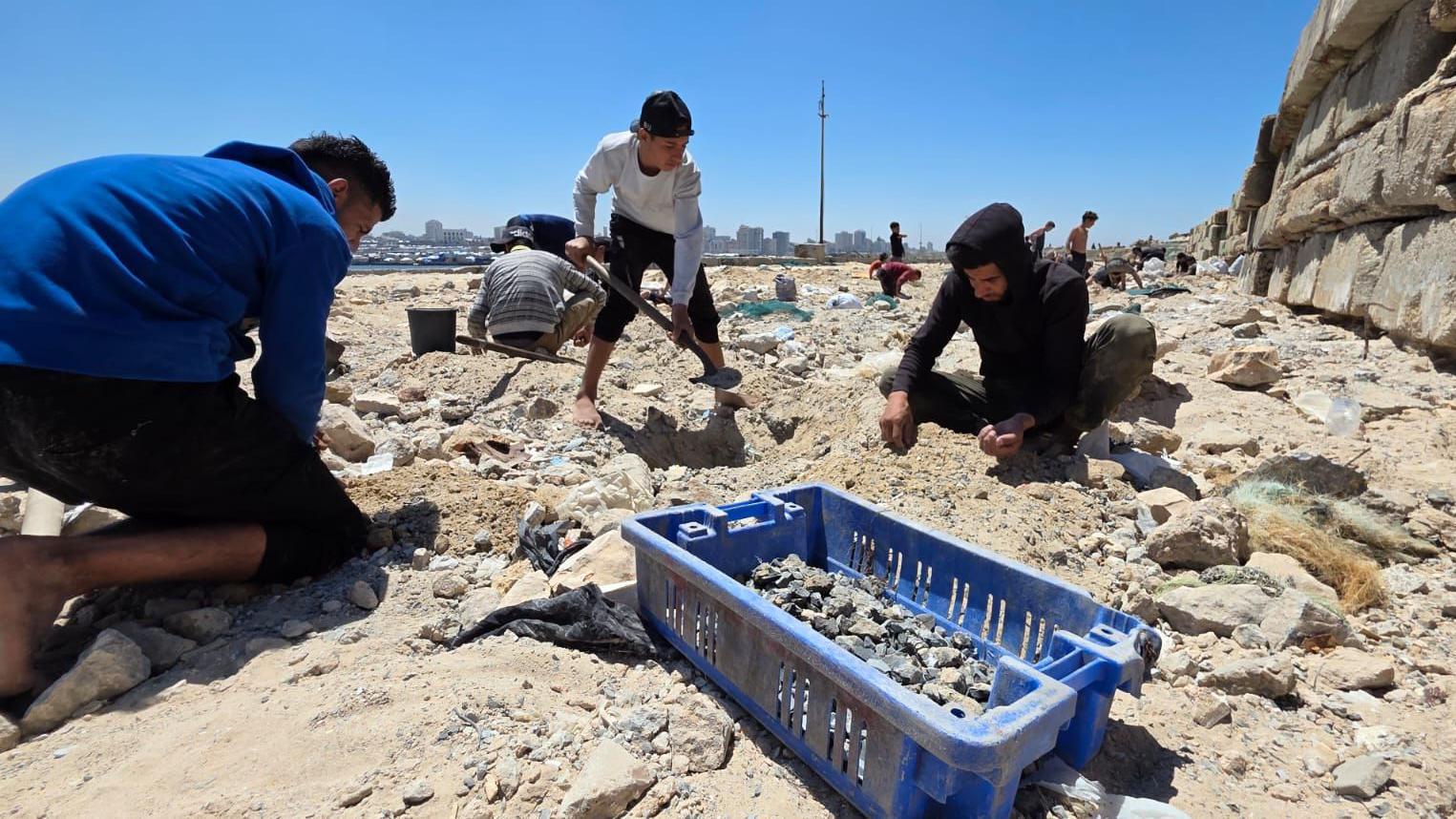 بديل من قاع الميناء: حيلة أهل غزة لمواجهة نقص الإسمنت