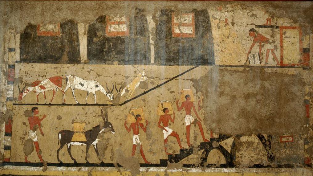 كيف كان ملوك مصر القديمة يحترمون حقوق العمال و"يقدسون" دورهم؟ 4 لوحة لعملية نقل سلال الحبوب إلى المخزن على ظهر حمار، من عصر الانتقال الأول (نحو 2181–2040 قبل الميلاد).