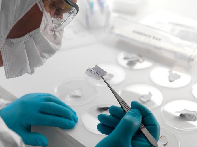 فارنزک سائنس