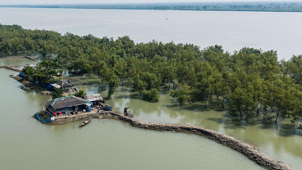 Esta fotografía aérea, tomada el 20 de octubre de 2025, muestra una vista general de las casas en un terraplén del río Kholpetua, junto a un manglar en Sora, una aldea vulnerable a la subida del nivel del mar en el distrito de Khulna, en la costa de Bangladesh.