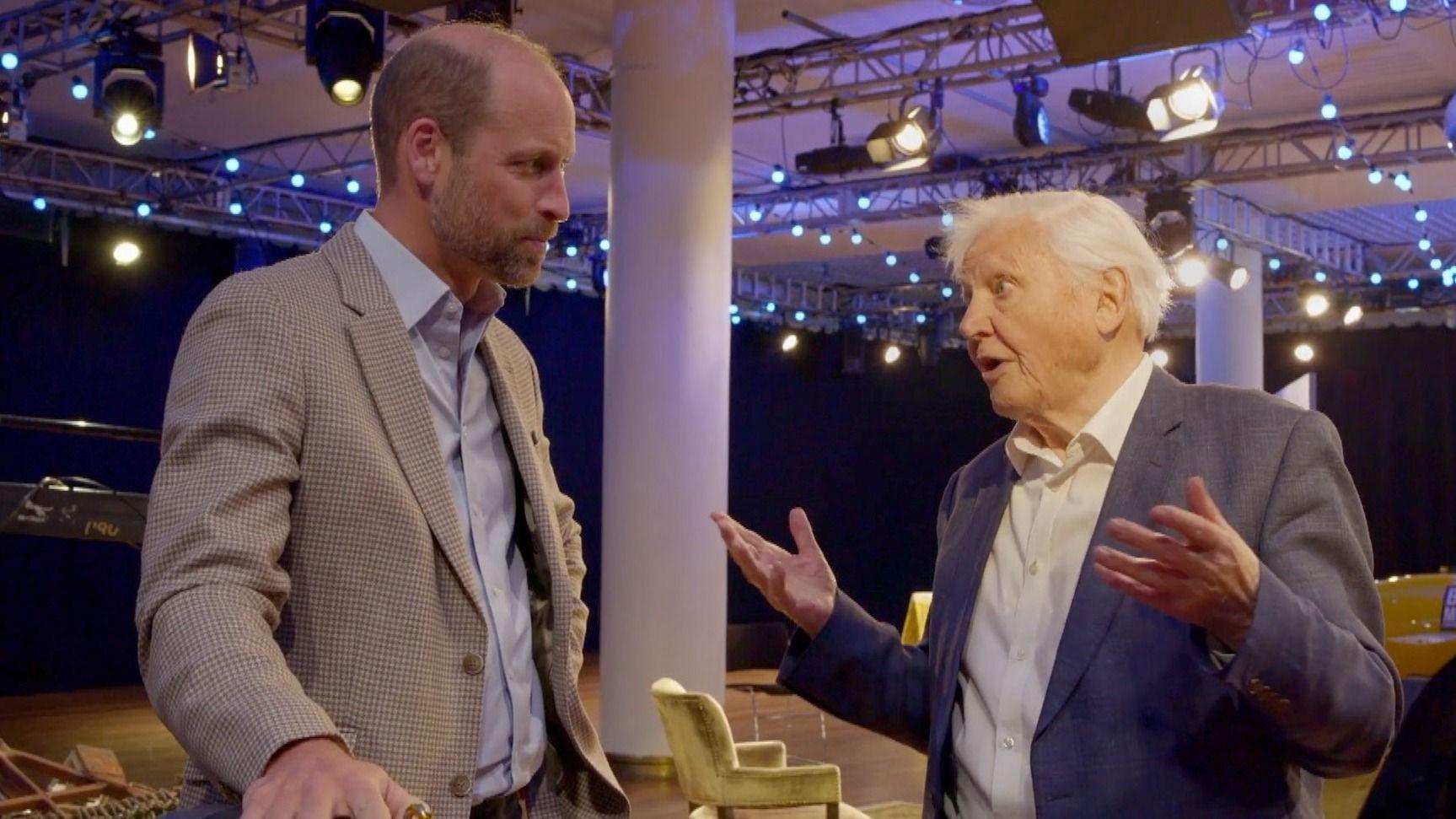 Ocean damage unspeakably awful, Attenborough tells prince