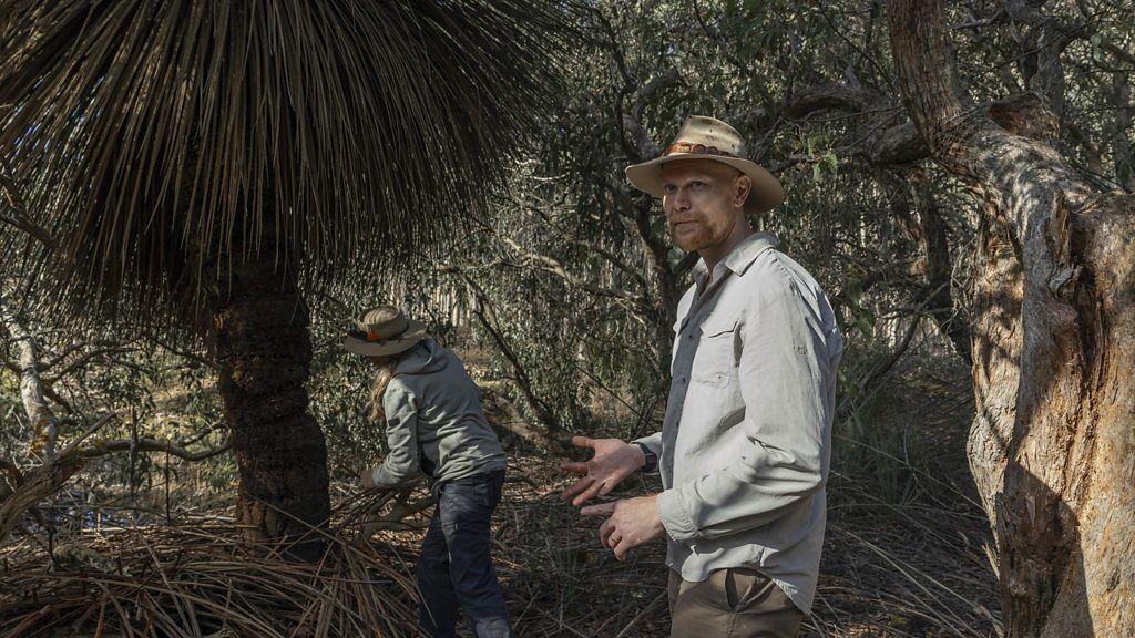 Karen Burke Da Silva y Julian Beaman examinan un árbol quemado dentro del Santuario de Koalas en Isla Canguro.