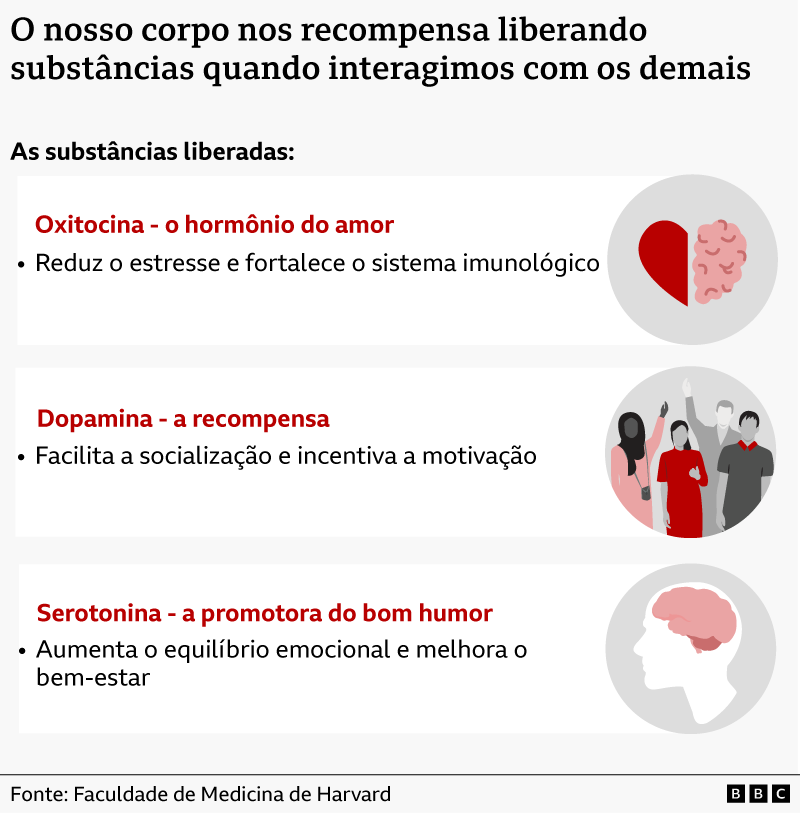 Gráfico mostrando as três substâncias liberadas quando as pessoas se socializam: oxitocina, dopamina e serotonina
