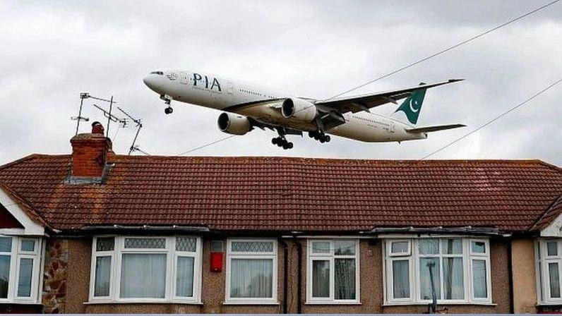pia