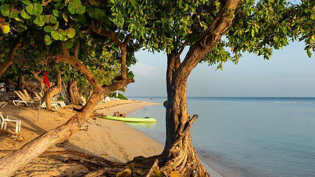 Praia da Jamaica em dia de sol, com &aacute;rvores e um barco na faixa de areia