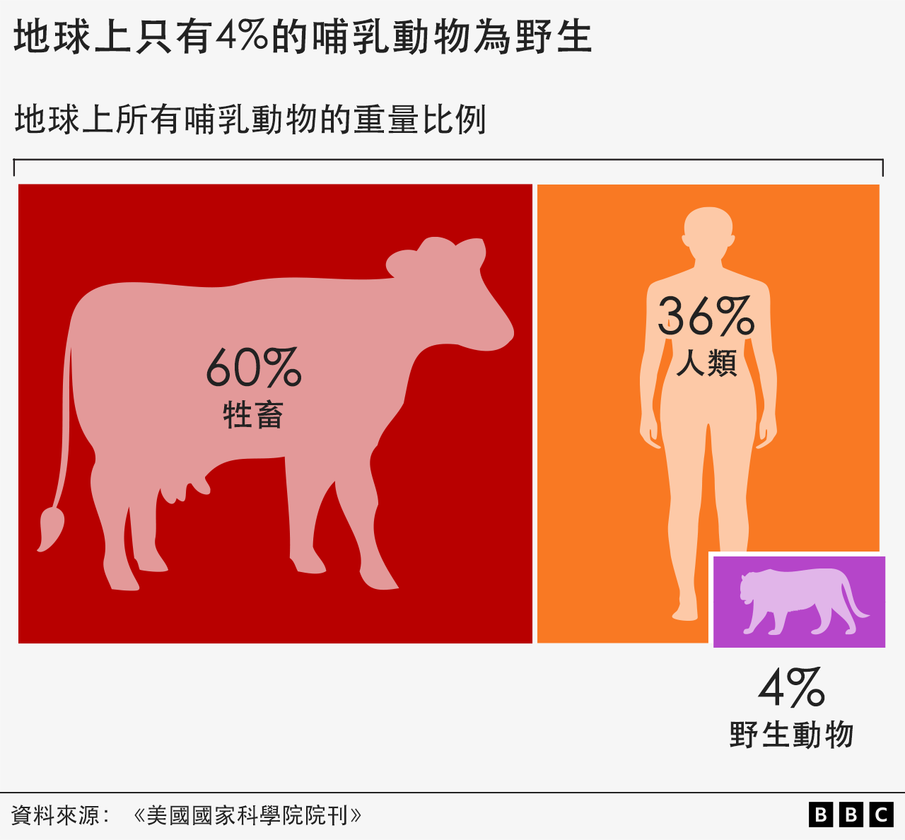 圖表顯示了地球上哺乳動物的重量（或生物量）比例——60% 為牲畜，36% 為人類，4% 為野生哺乳動物。