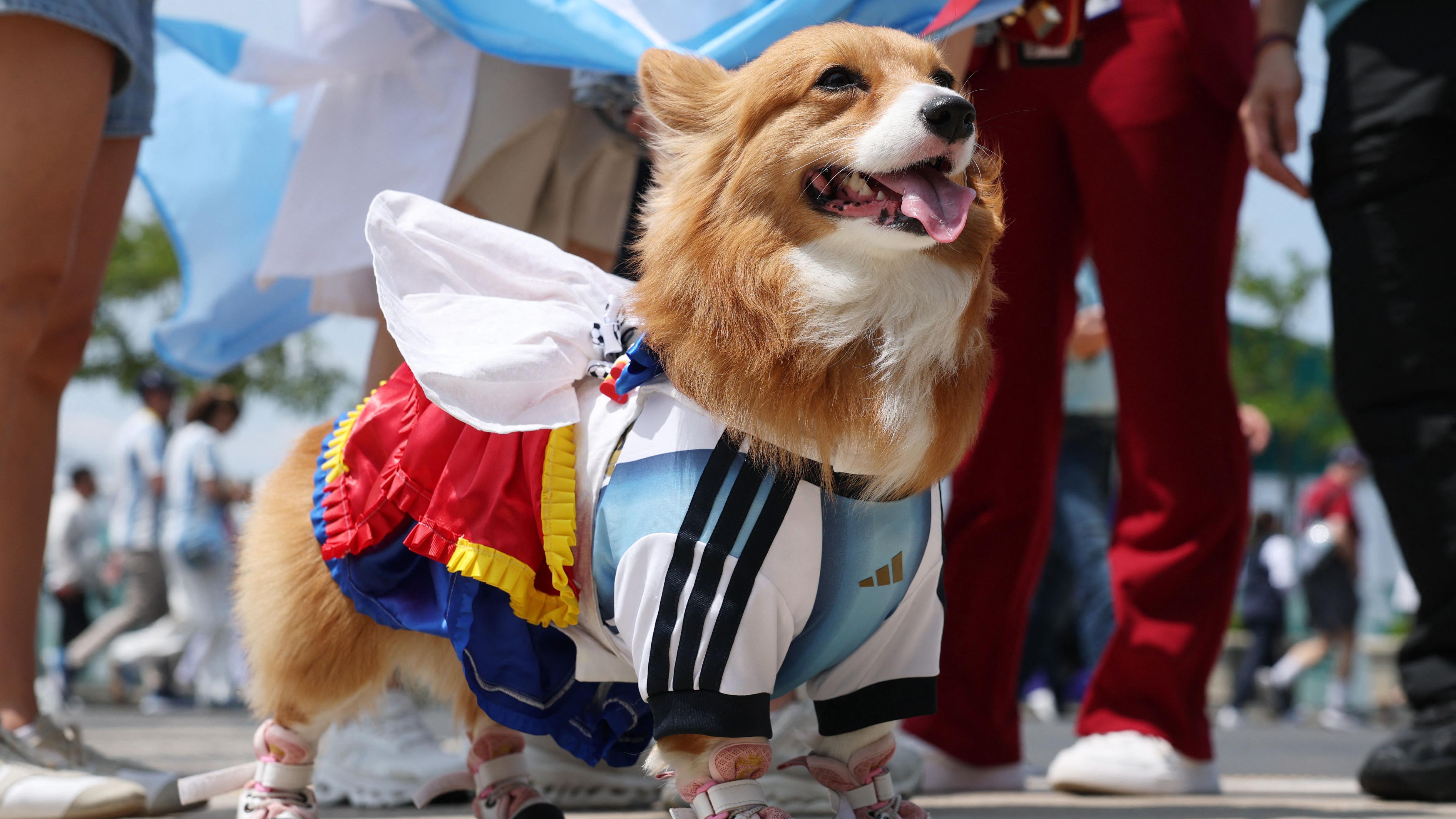 Watch as closing ceremony coming up before Spain face Argentina in World Cup final