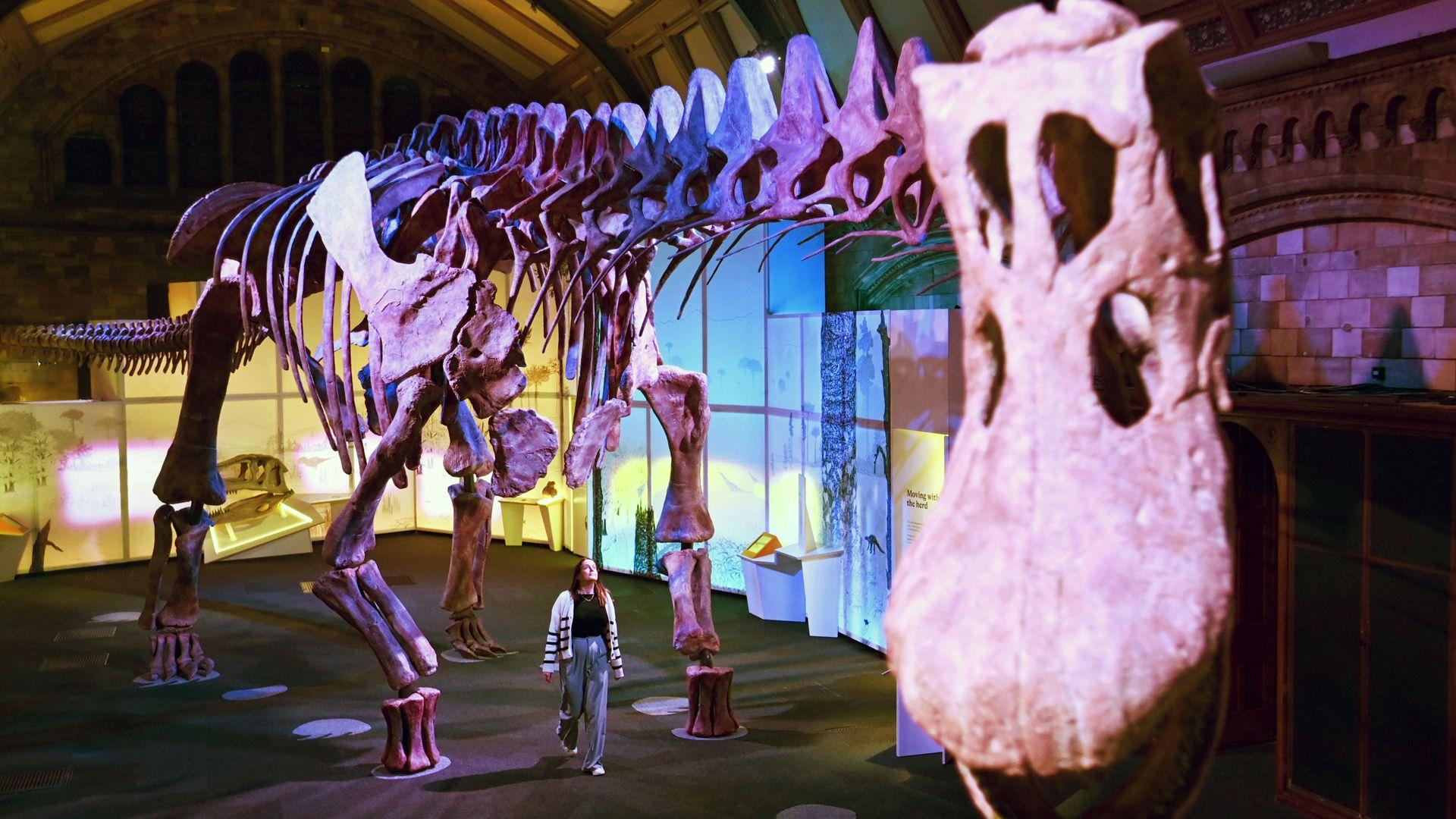 UKs most popular tourist attraction for 2025 takes top spot from British Museum