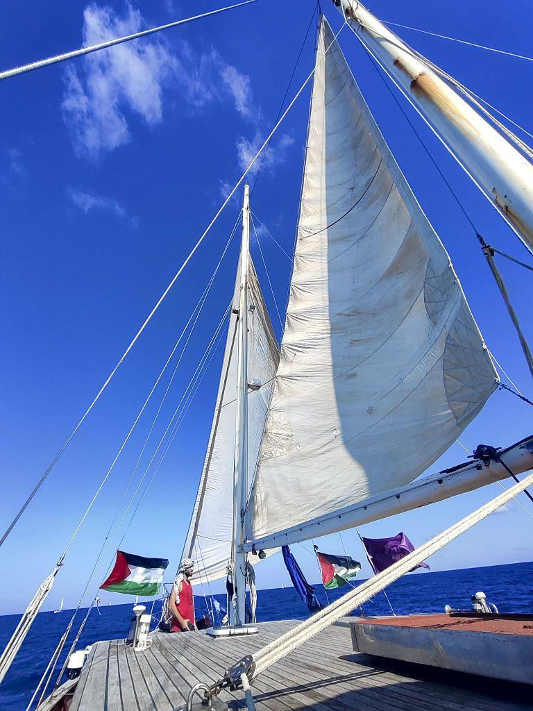 Flotilla en el mar.