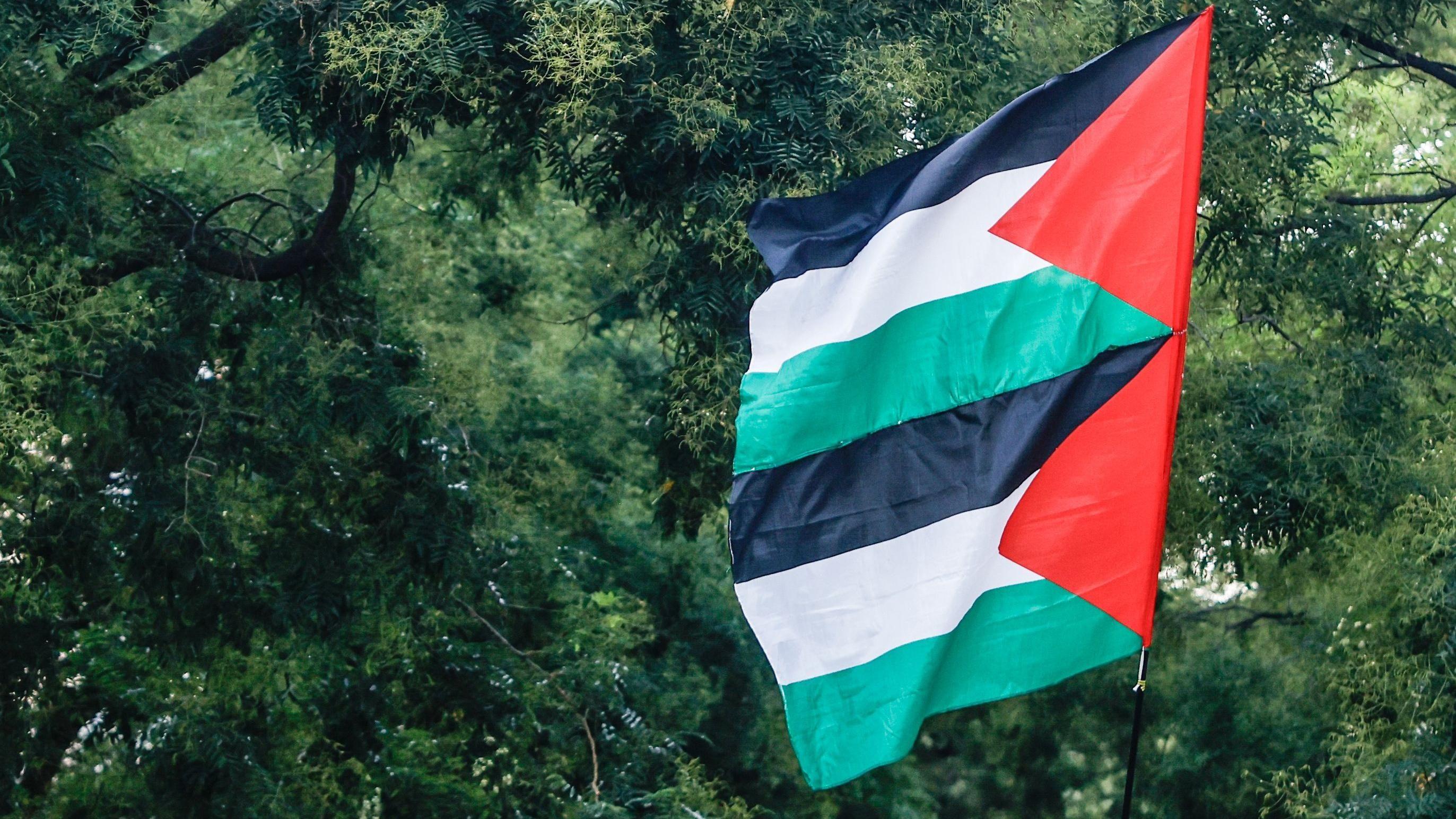 العلم الفلسطيني