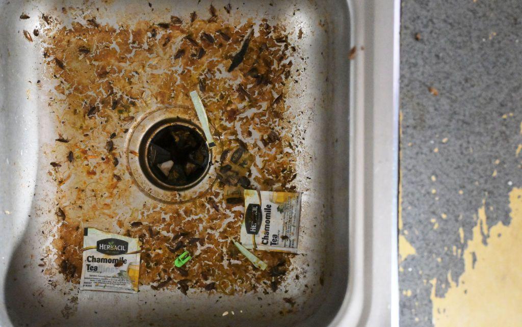 Una infestación de insectos es visible en el fregadero de la cocina del Apartamento 304 del Edificio F en The Edge at Lowry Apartments, que sufrió daños graves. (Foto por RJ Sangosti/MediaNews Group/The Denver Post a través de Getty Images)