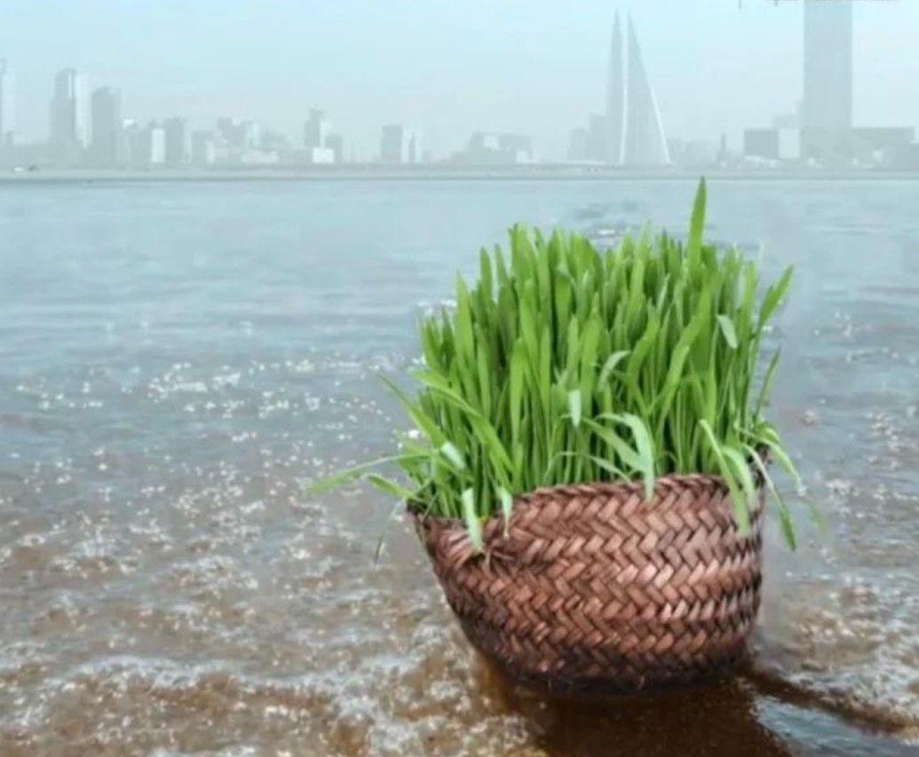 ما قصة "الحيّة بيّة" في الموروث الشعبي الخليجي؟ 1 سلة "الحيّة بيّة" المصنوعة من سعف النخيل، المزروعة بالحبوب، تُلقى في البحر يوم وقفة عرفة إحياءً لتقليد شعبي خليجي.