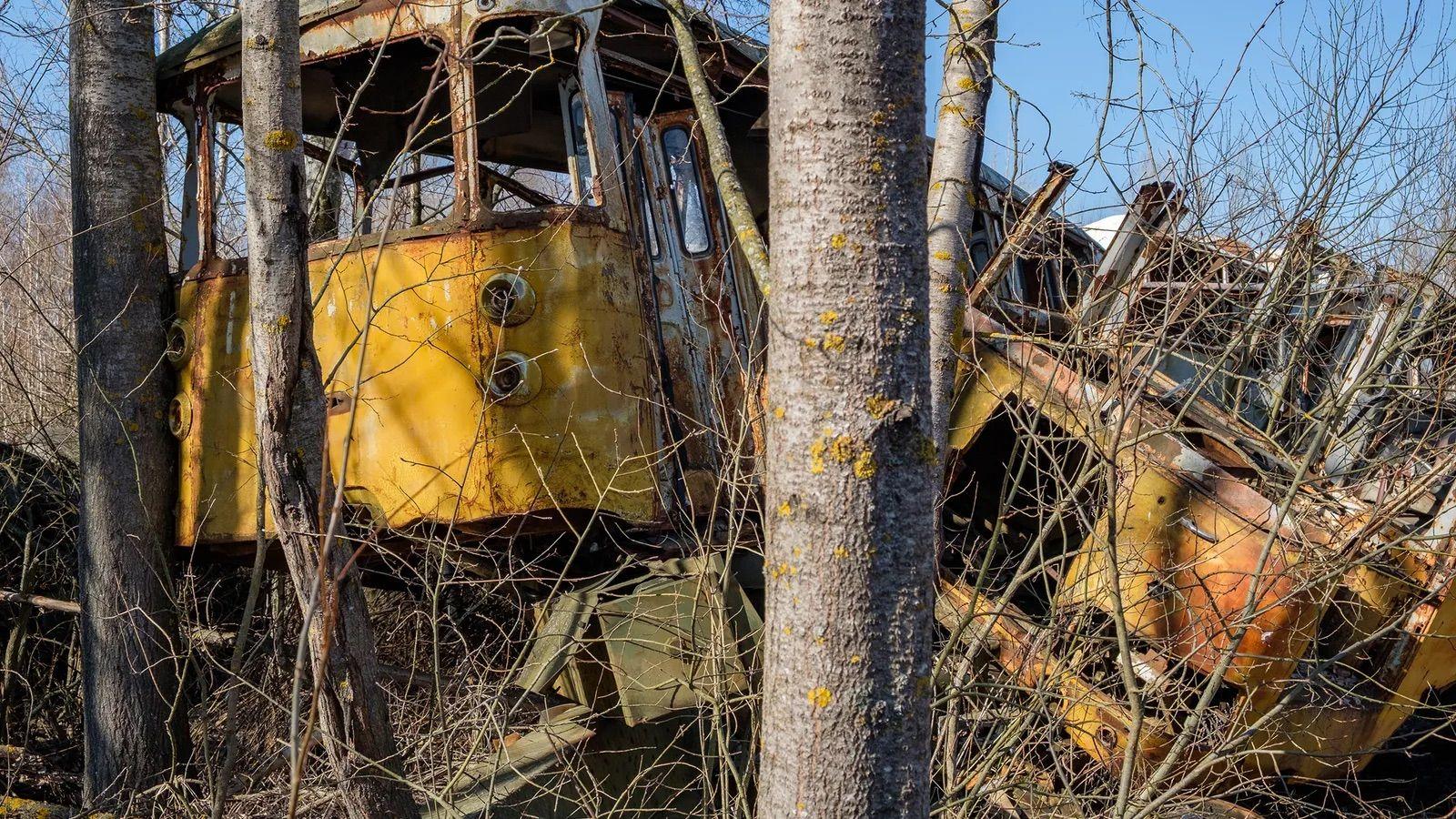 Vehículos en un bosque de Chernóbil. 