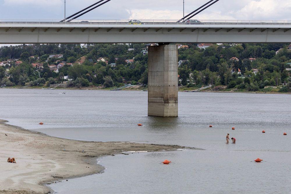 Dunav ponegde kao potok: Dramatične fotografije iz Srbije i regiona 6 dunav, nizak vodostaj dunava, dunav kod novog sada