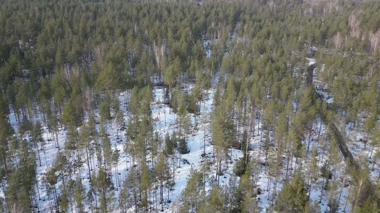 ��� ����� ����� ���� �������
