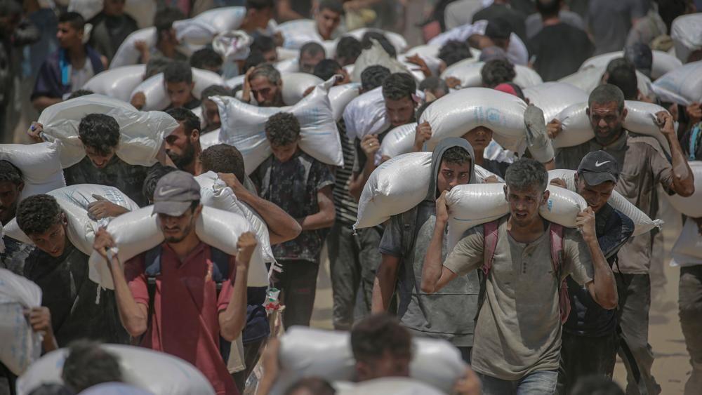 Malnutrition in Gaza at alarming levels, WHO warns as aid airdrops resume 