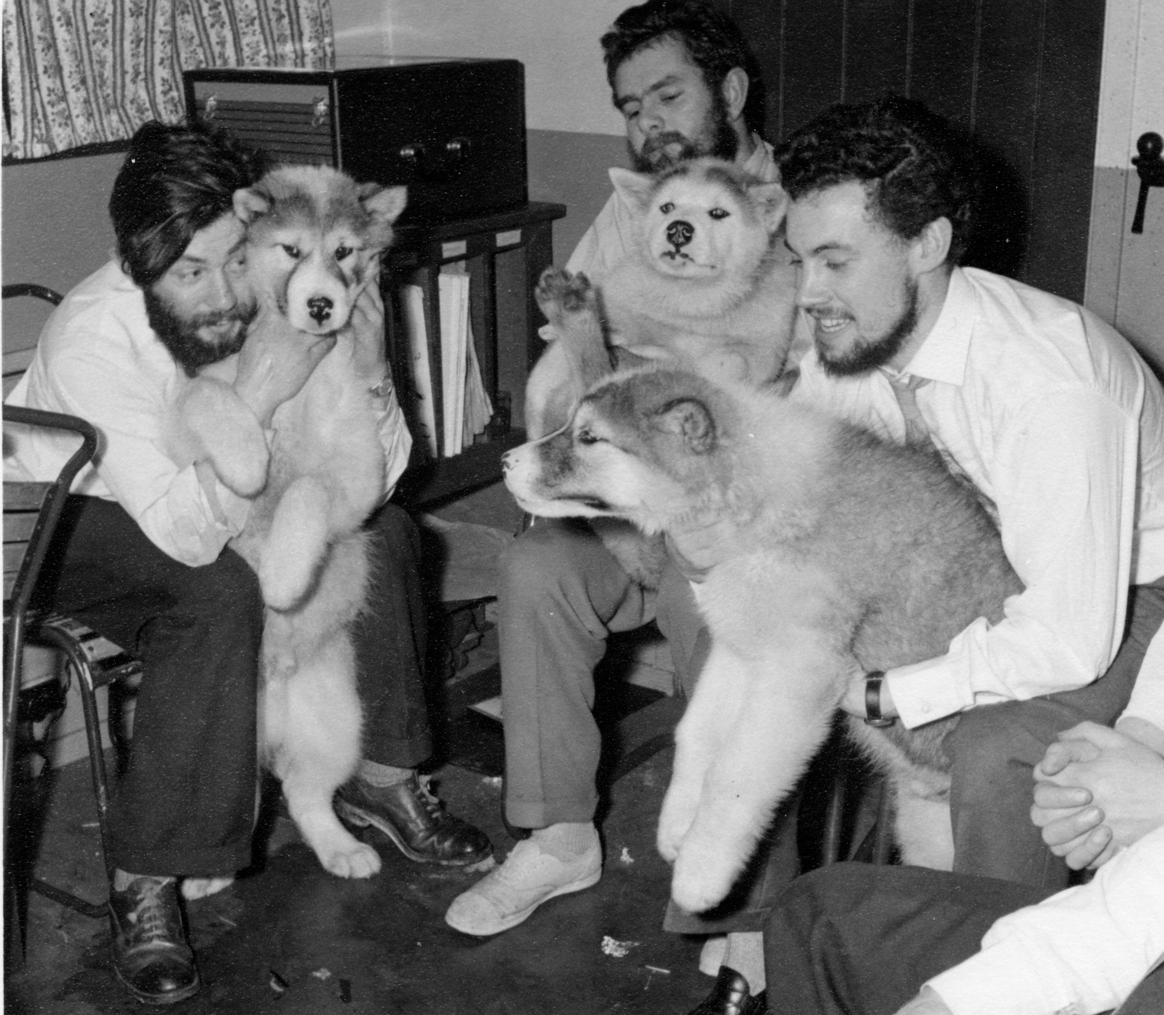 Foto em preta e branco com três homens abraçando três cachorros