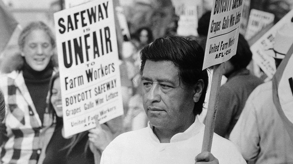 (Subtítulo Original) El líder de los trabajadores agrícolas, Cesar Chavez, hace piquetes aquí frente a la sede de Safeway en el área de San Diego. El piquete fue en protesta por el arresto de 29 personas en un Safeway en Delano, California. Se han lanzado piquetes a nivel nacional para protestar por los arrestos.